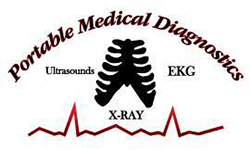 Birth of Portable Medical Diagnostic